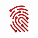 The DFIR Report